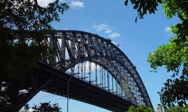 WP 6.1 Media category blocks